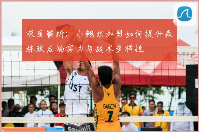 深度解析：小鲍尔加盟如何提升森林狼后场实力与战术多样性