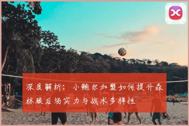深度解析:小鲍尔加盟如何提升森林狼后场实力与战术多样性